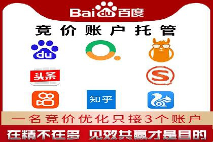 百度SEM推广策略：成功案例解析